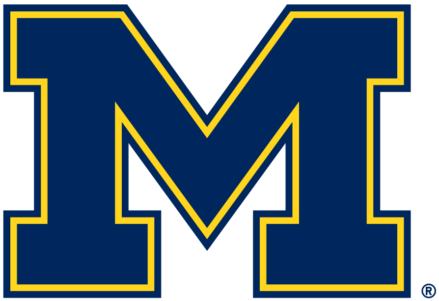 Michigan Wolverines 1996-Pres Alternate Logo v5 diy iron on heat transfer...